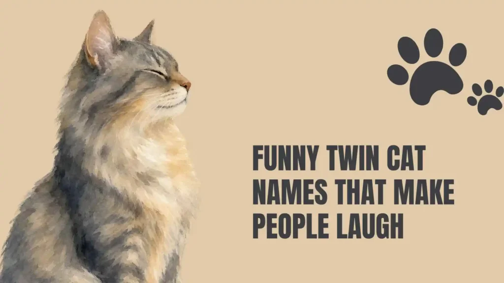 twin cat names