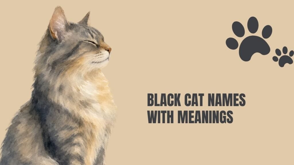 Unique Black Cat Names Male