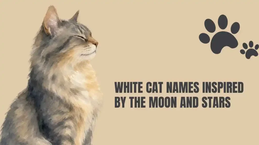 white cat names female
