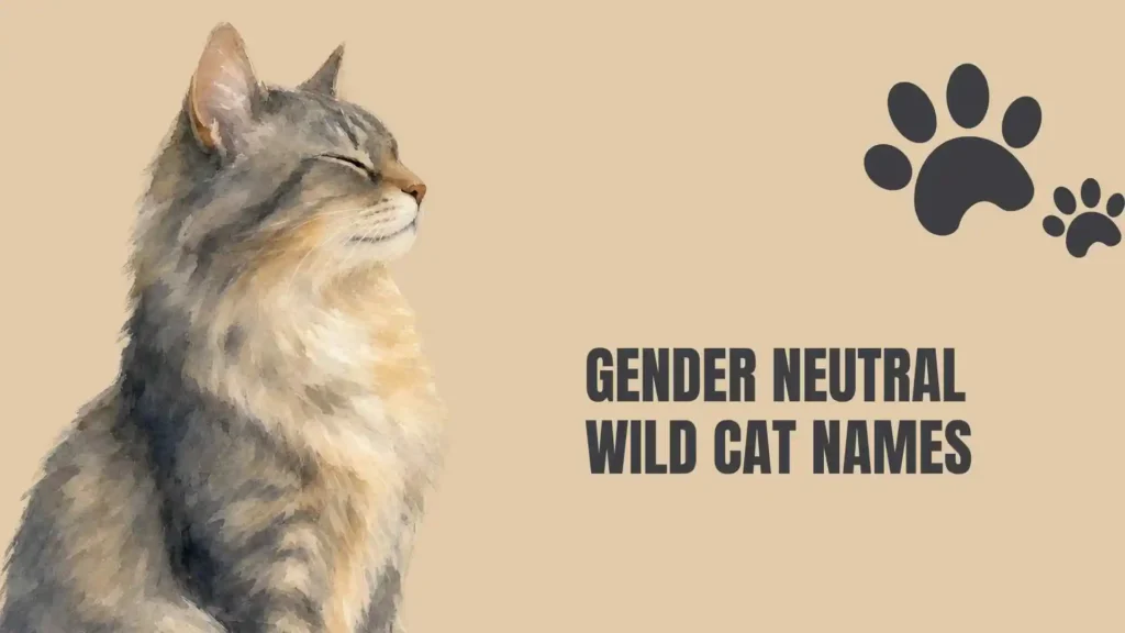 wild cat names