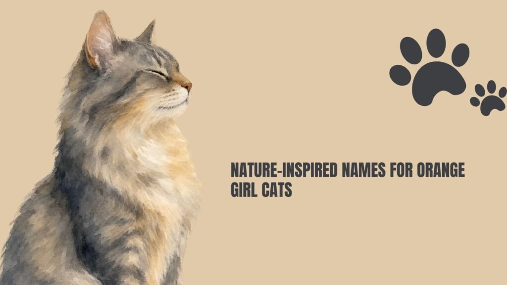 unusual female cat names
