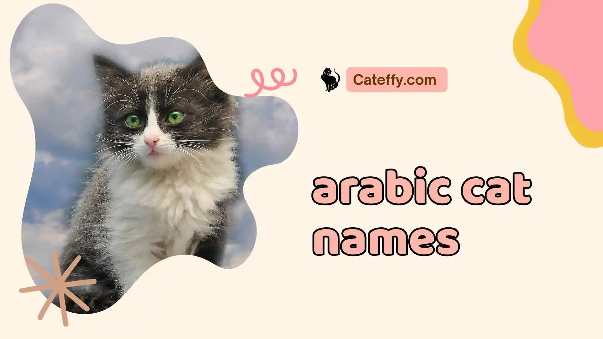 arabic cat names