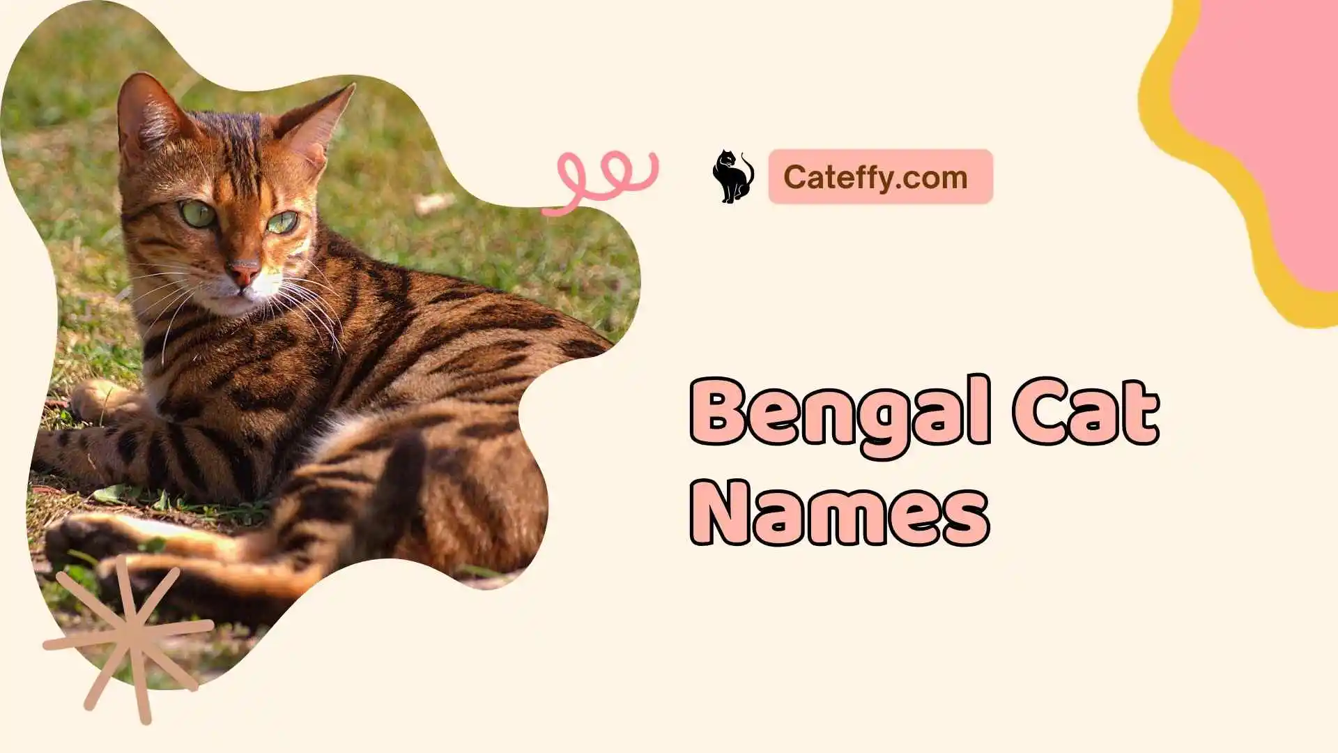 bengal cat names