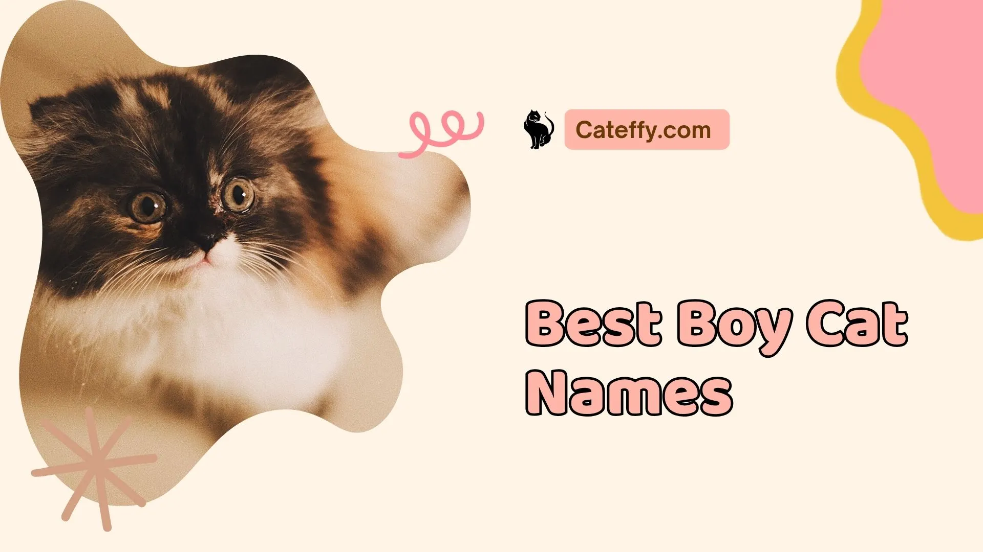 best boy cat names