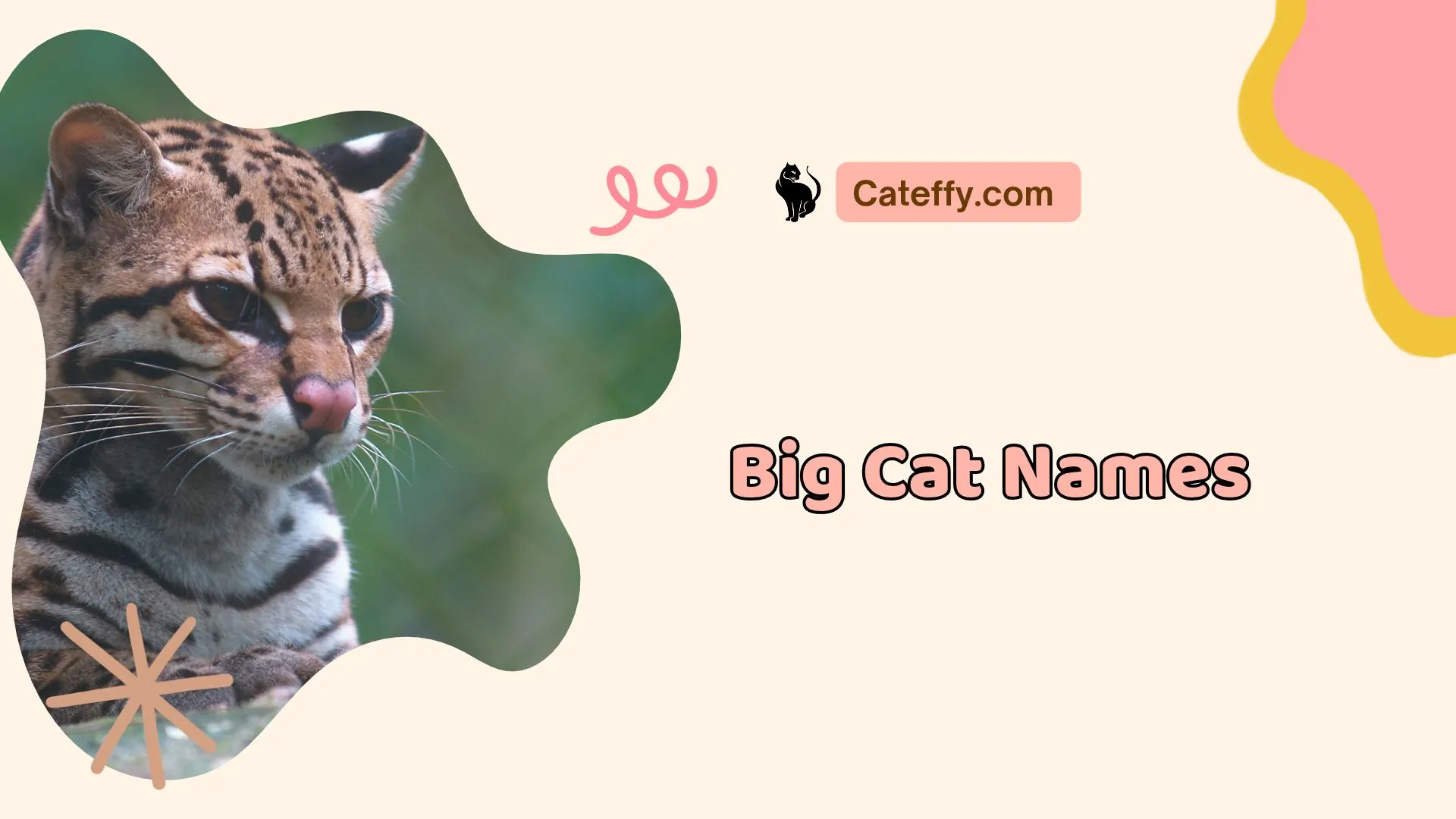 big cat names