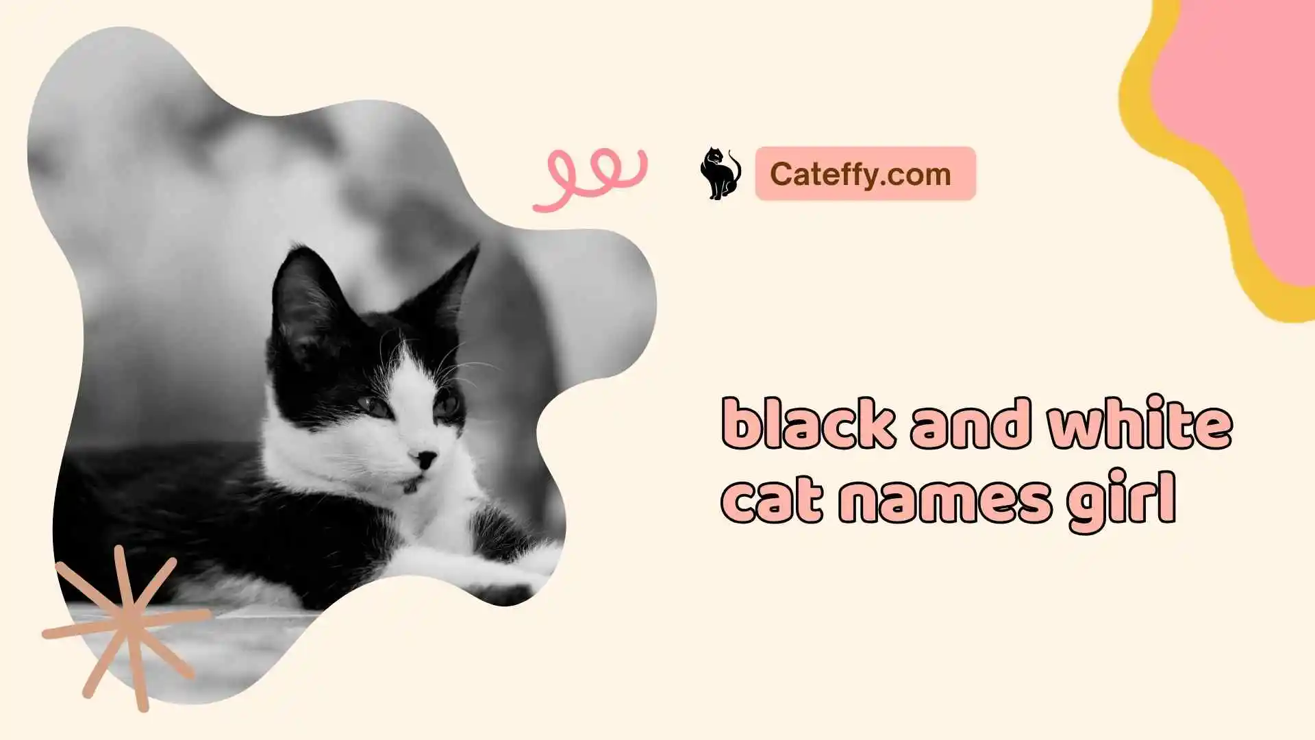 black and white cat names girl
