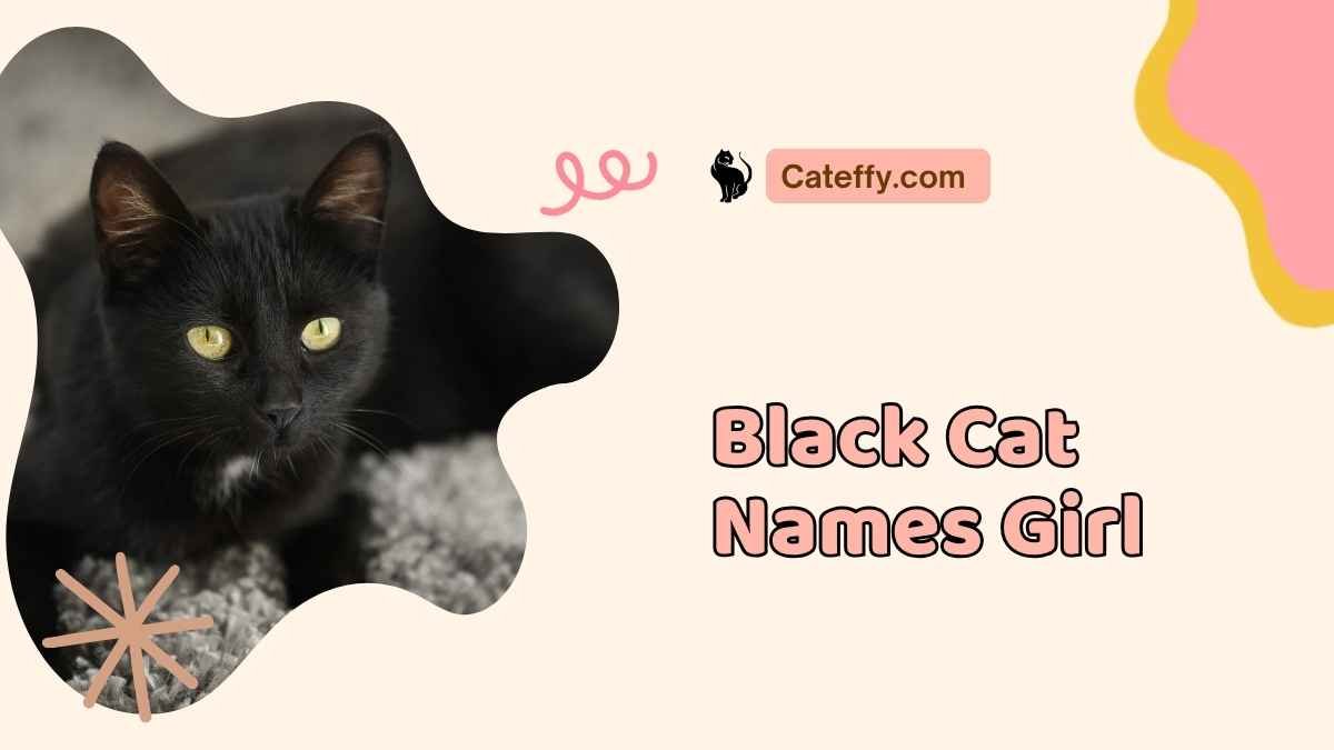 black cat names girl