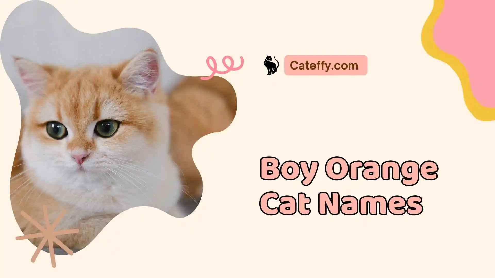 boy orange cat names