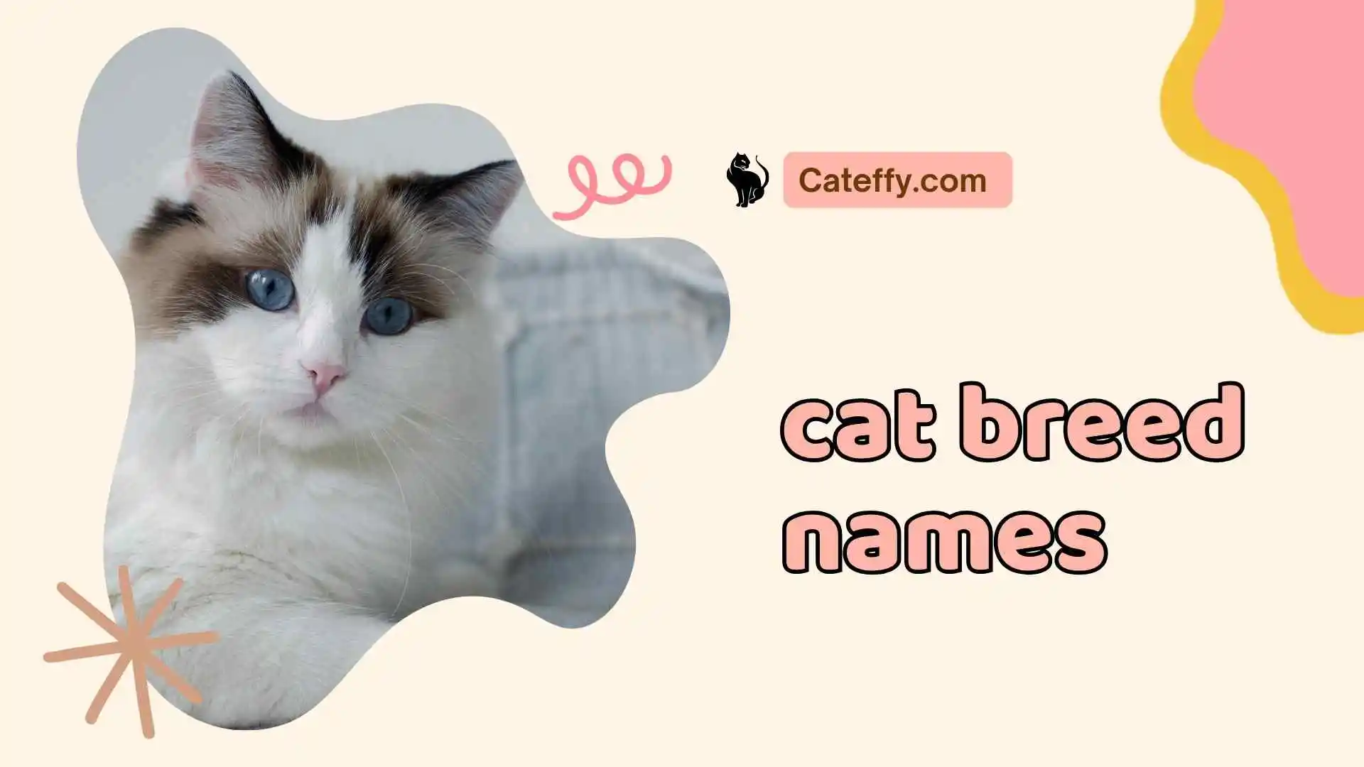 cat breed names