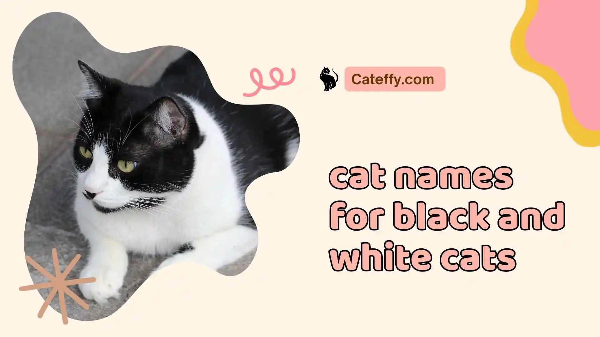 cat names for black and white cats