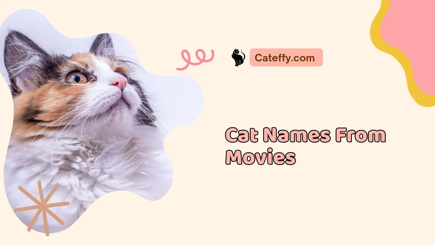 cat names from movies