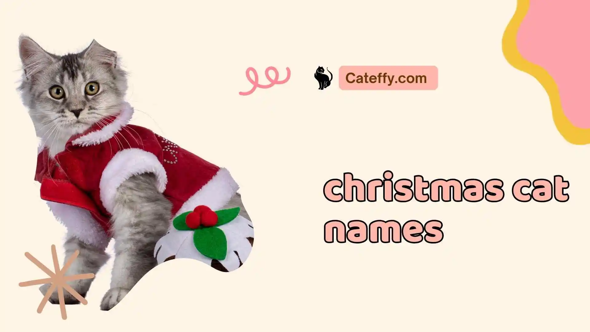 christmas cat names