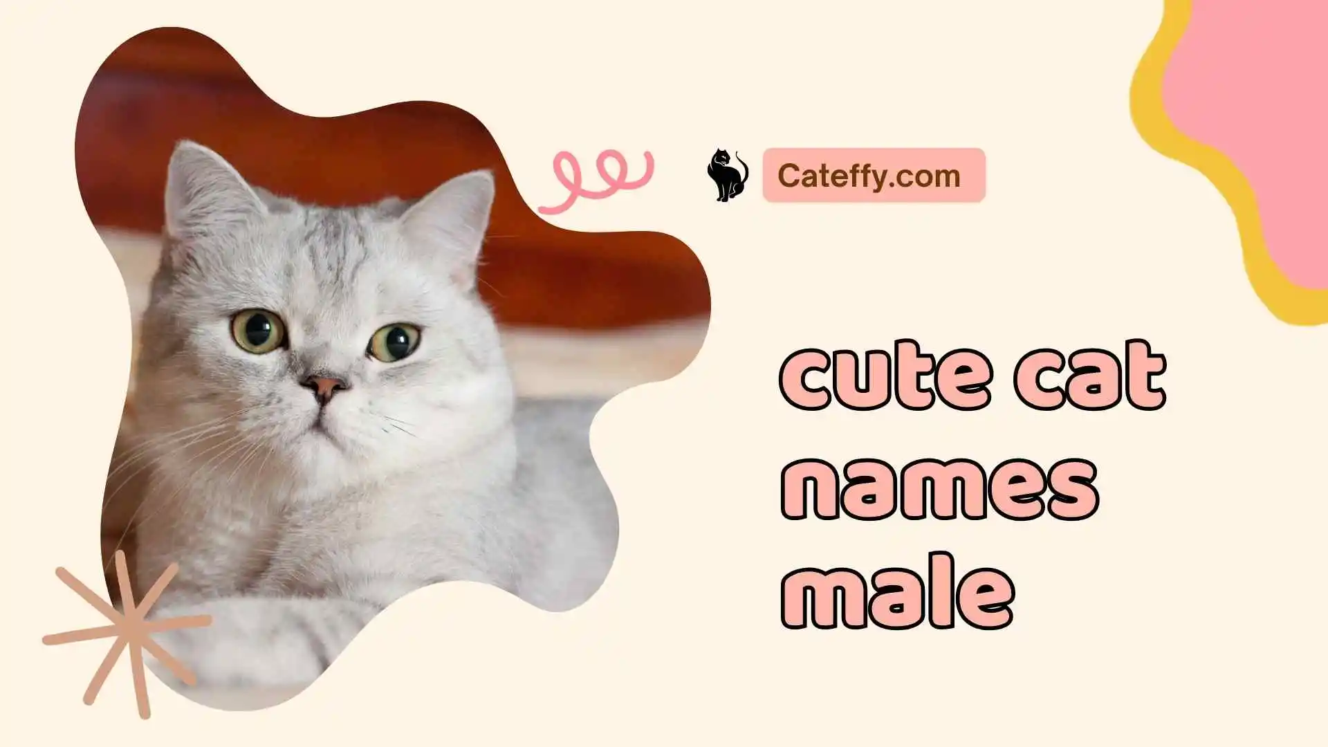 cute cat names male