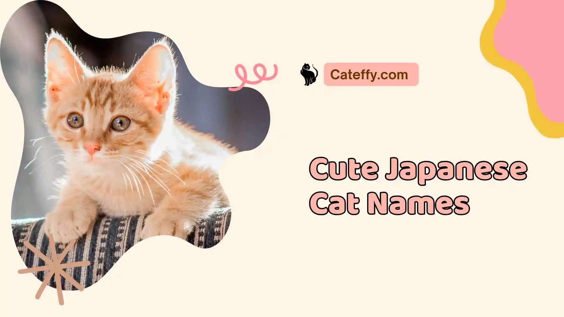 cute japanese cat names