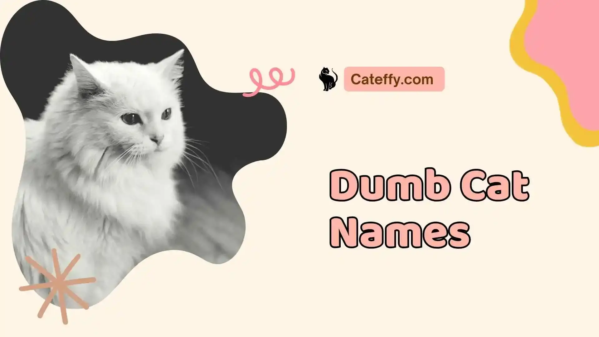 dumb cat names
