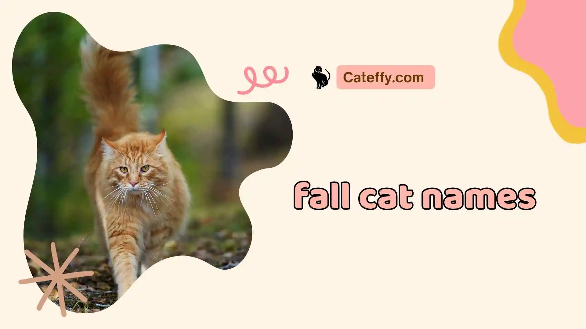 fall cat names