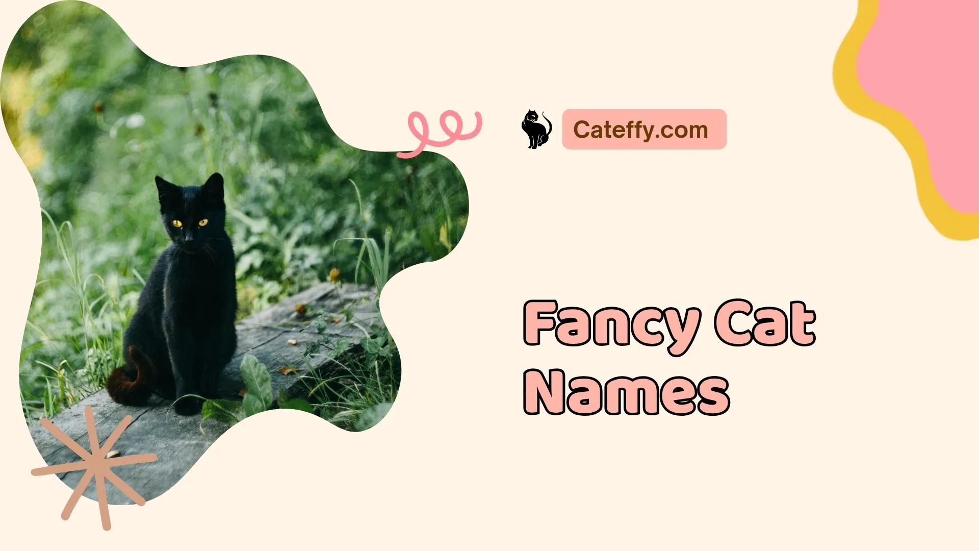 fancy cat names