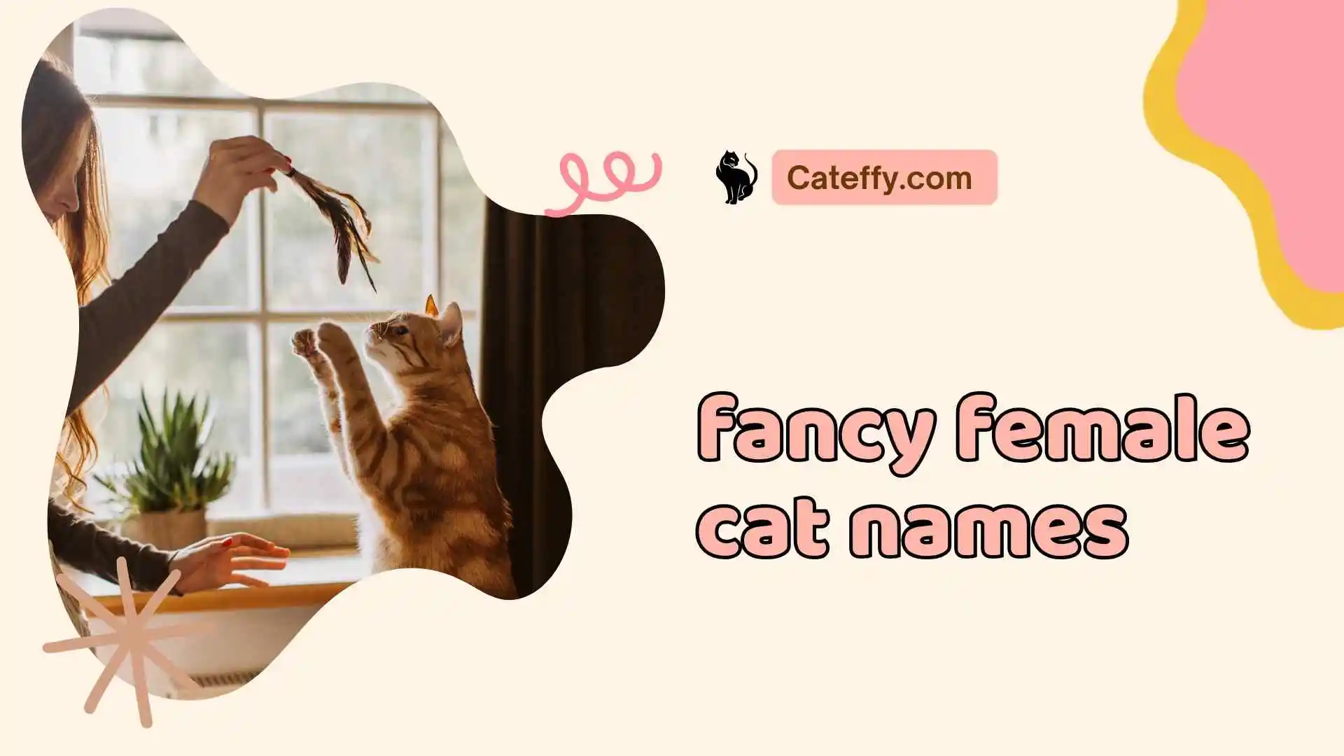 fancy female cat names