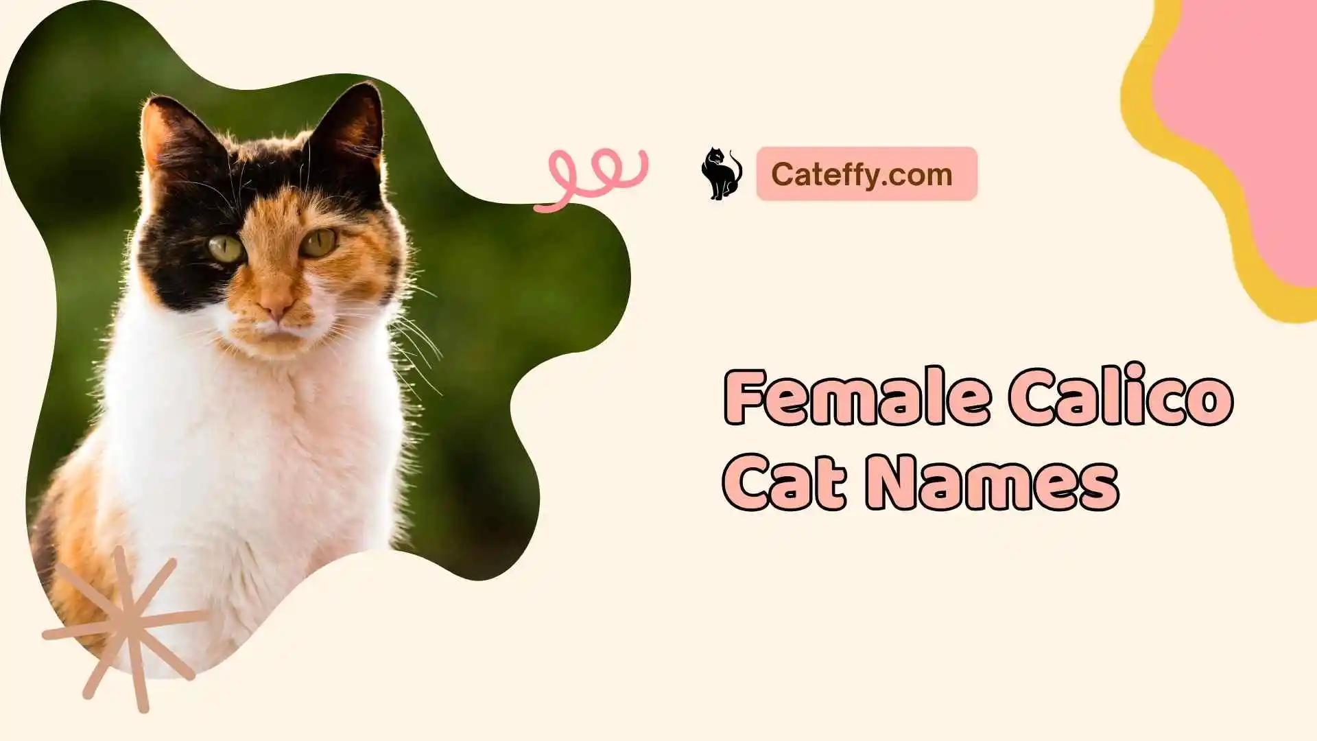 female calico cat names