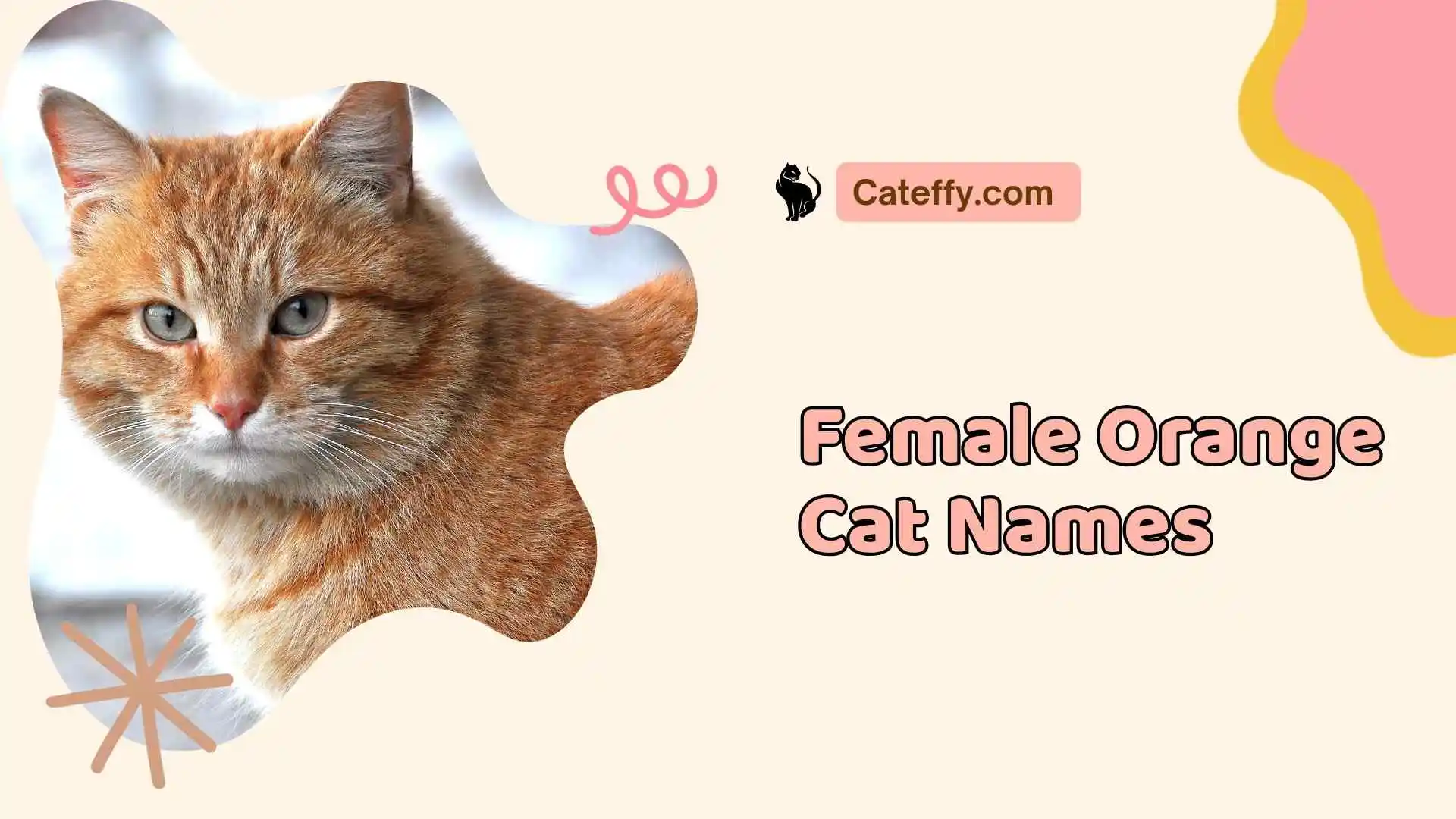 female orange cat names