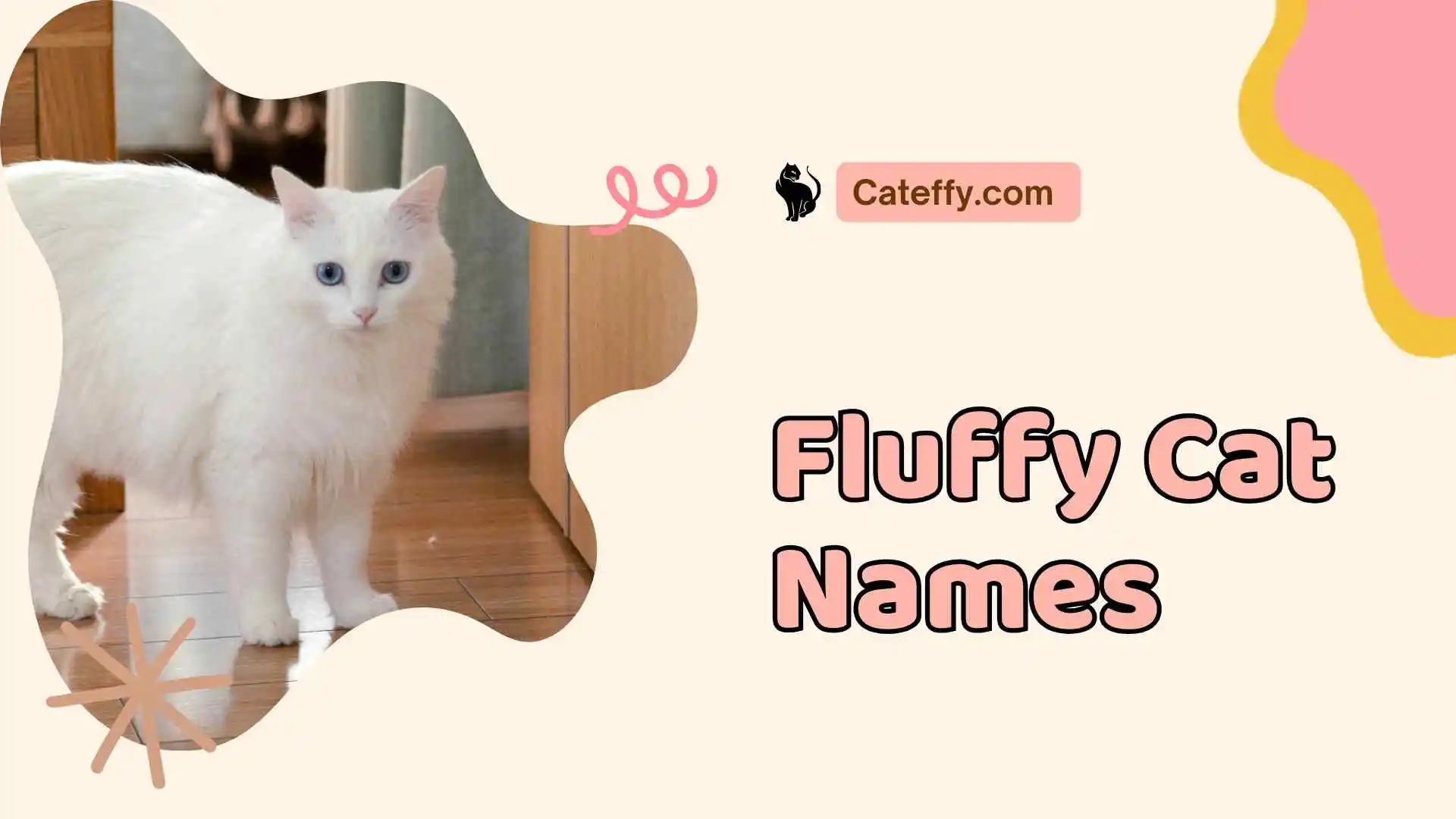 fluffy cat names