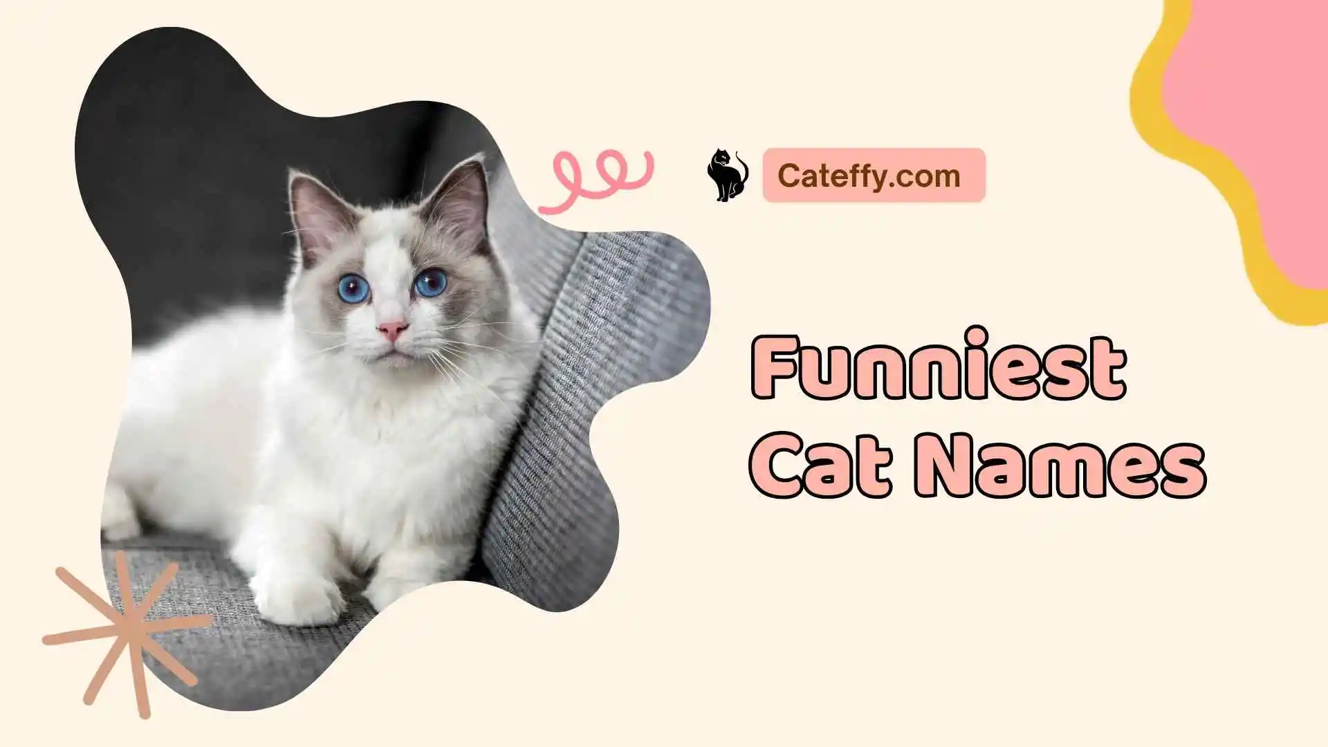 funniest cat names