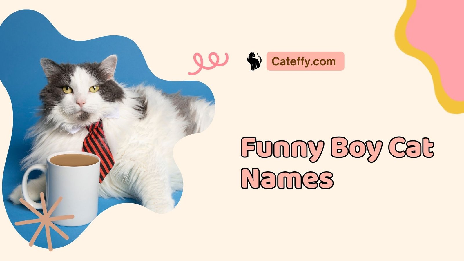 funny boy cat names