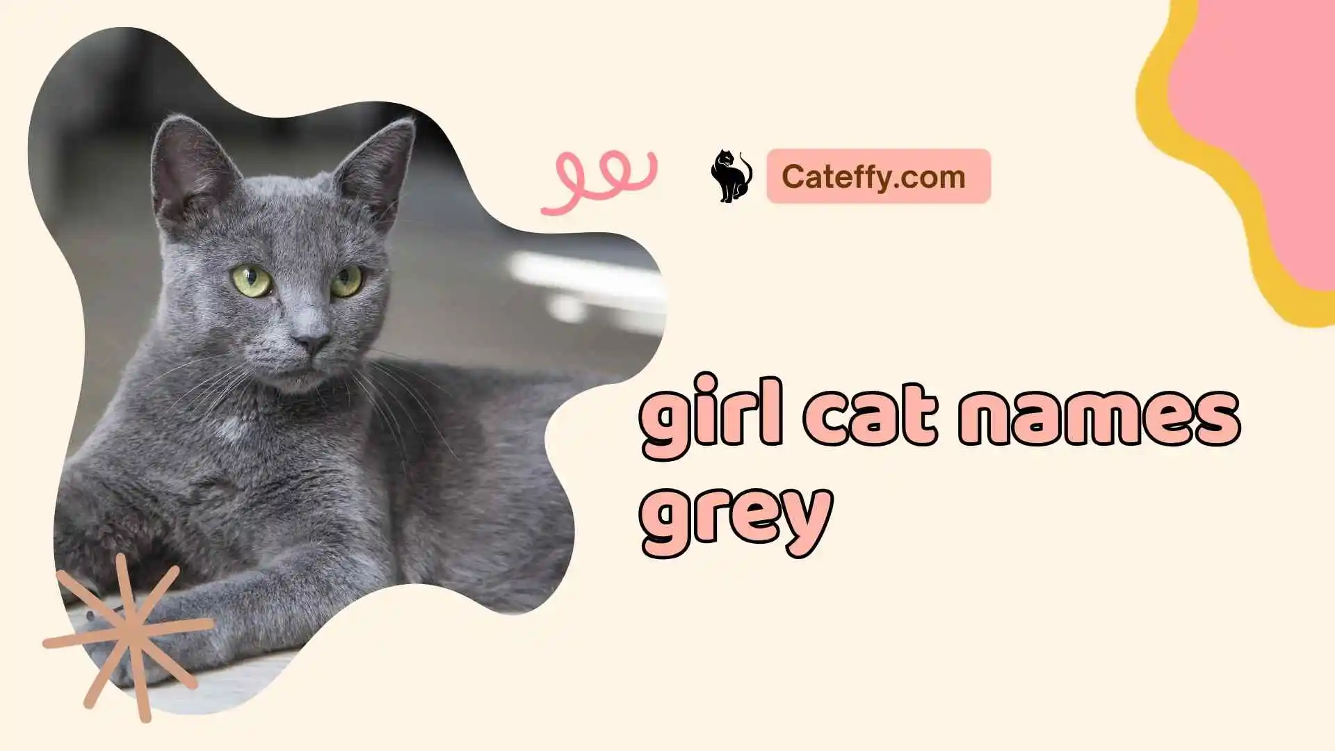 girl cat names grey