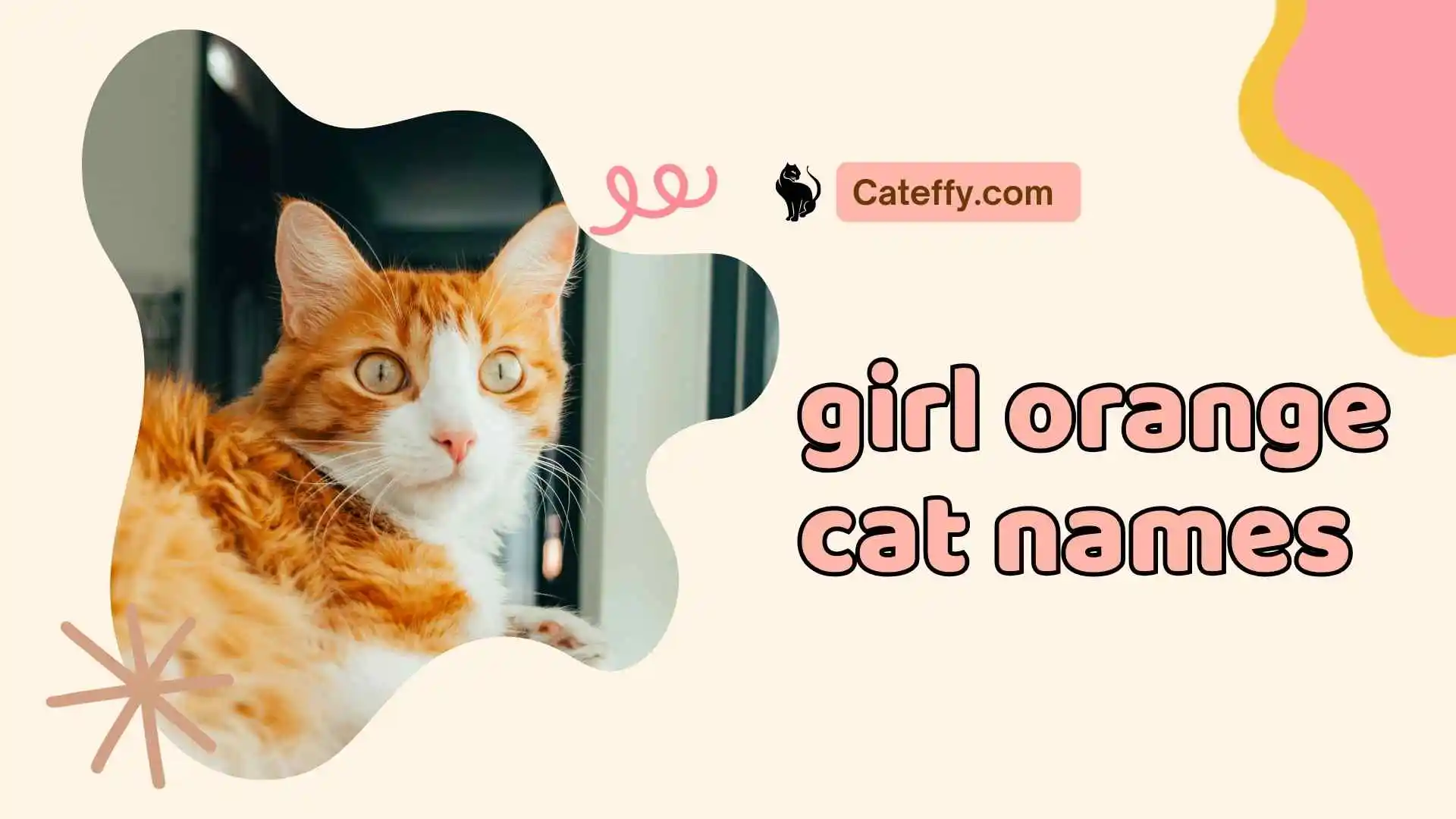 girl orange cat names