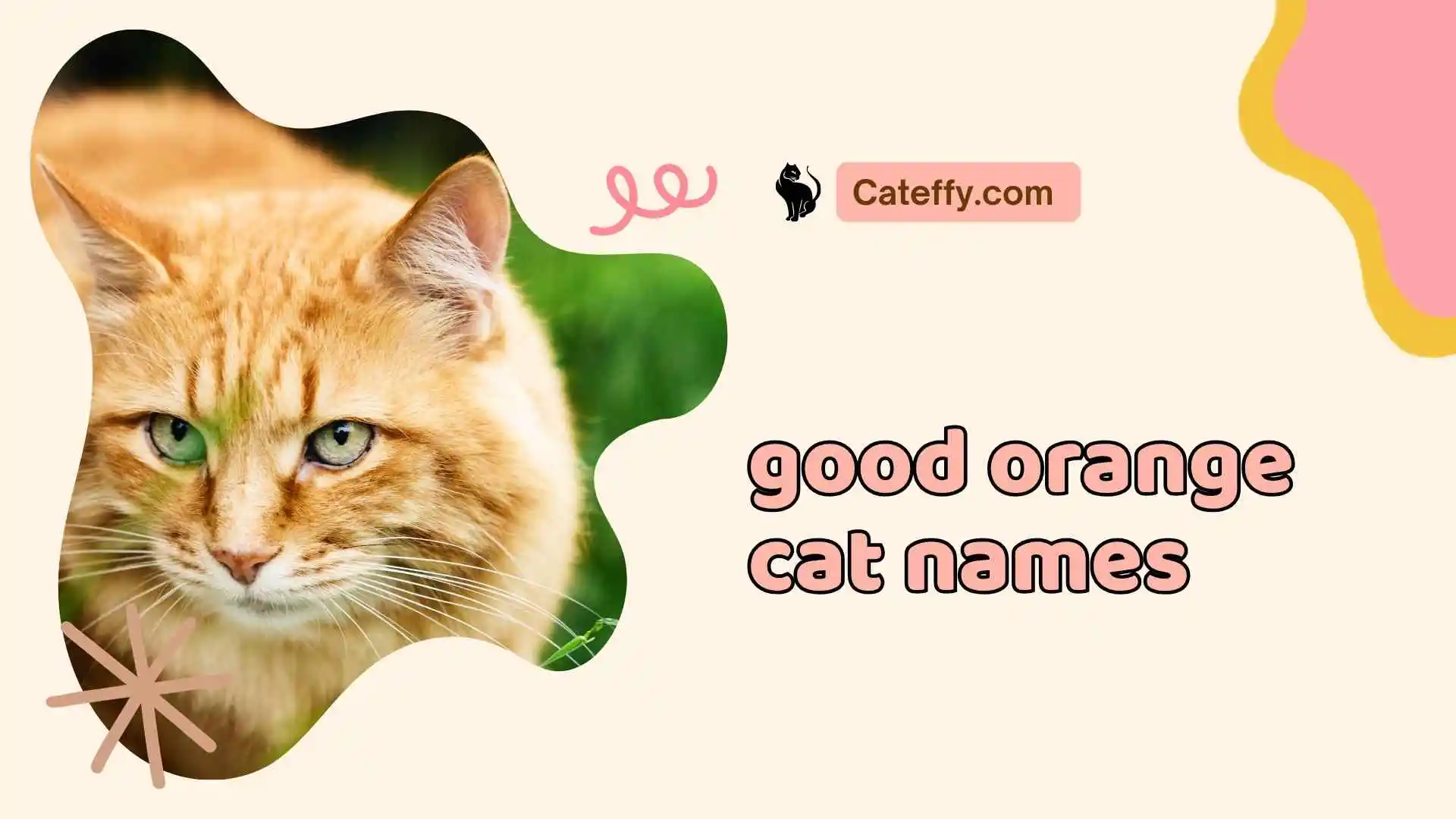 good orange cat names