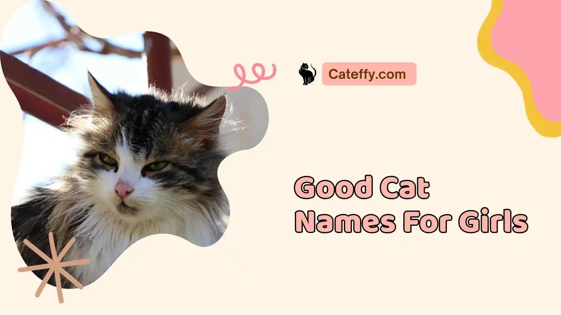good cat names for girls