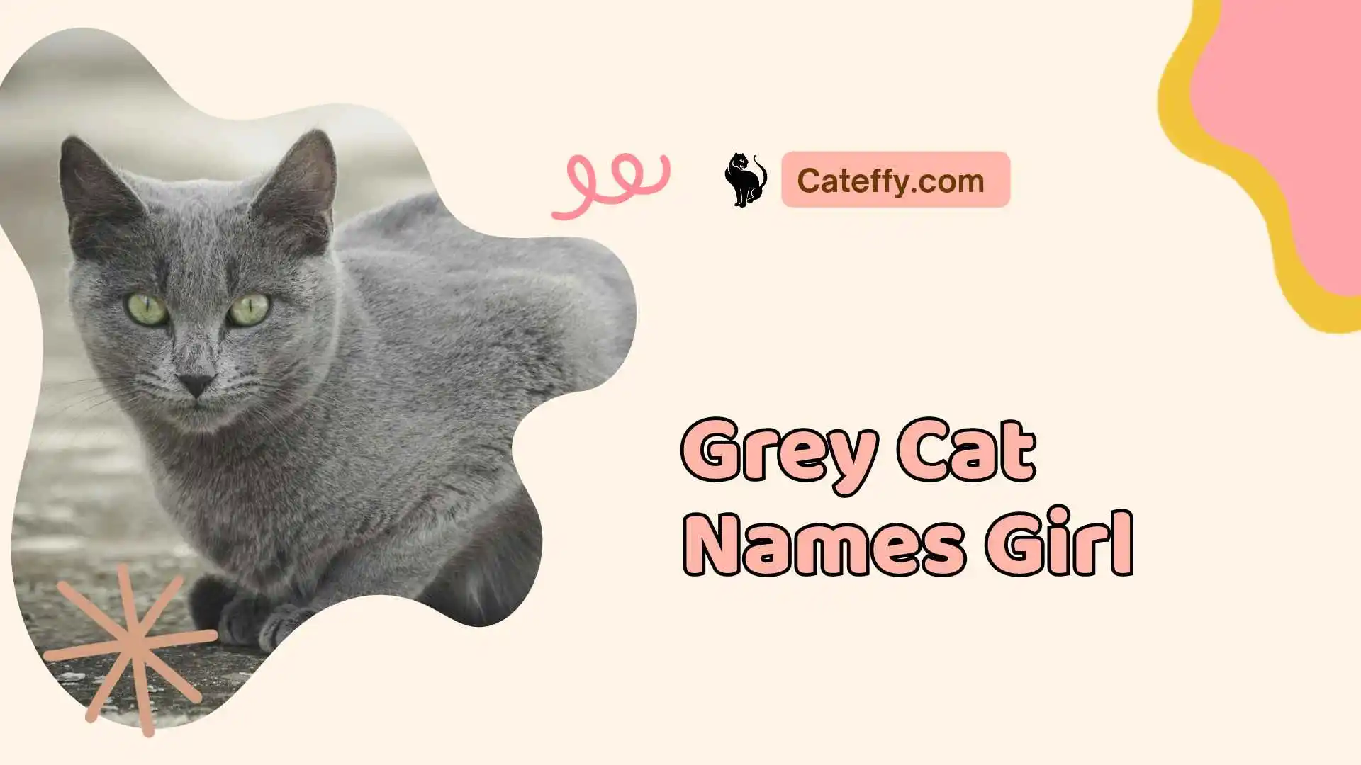 grey cat names girl