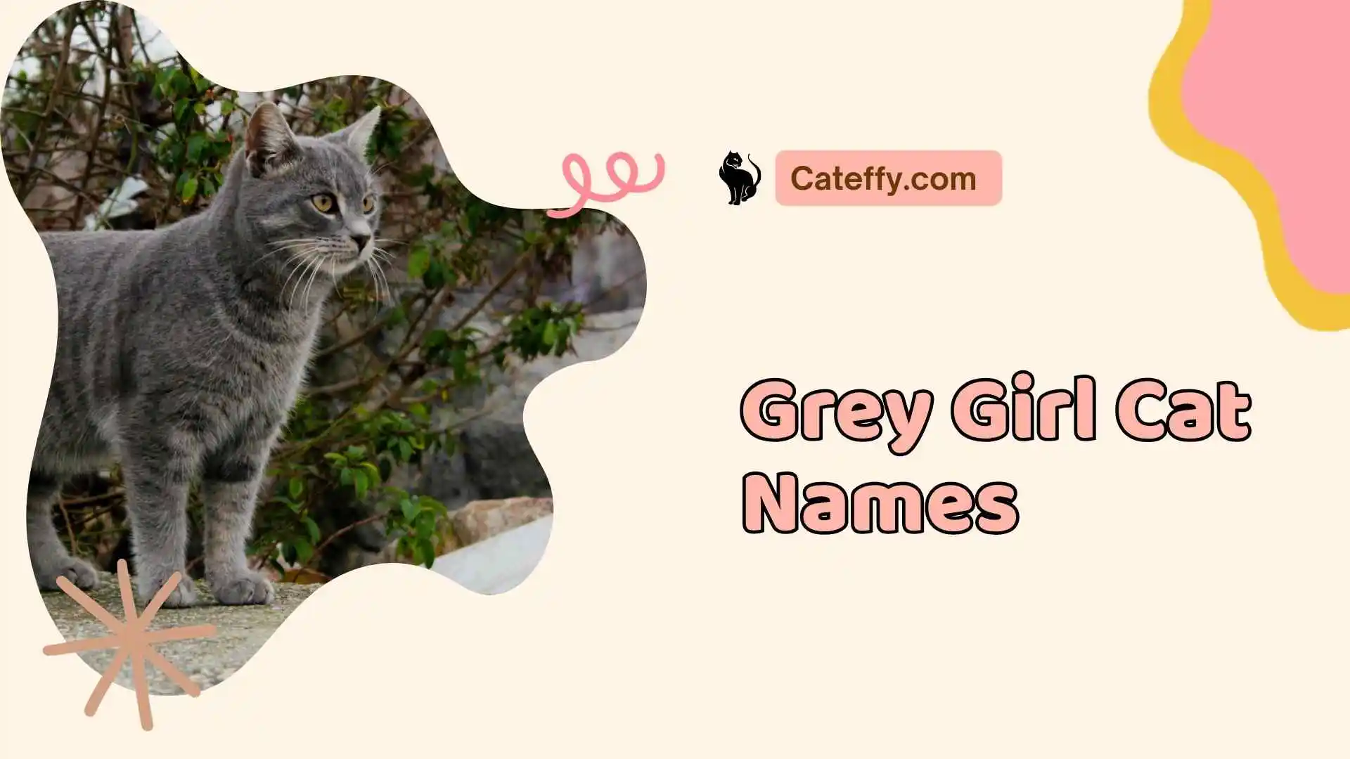 grey girl cat names