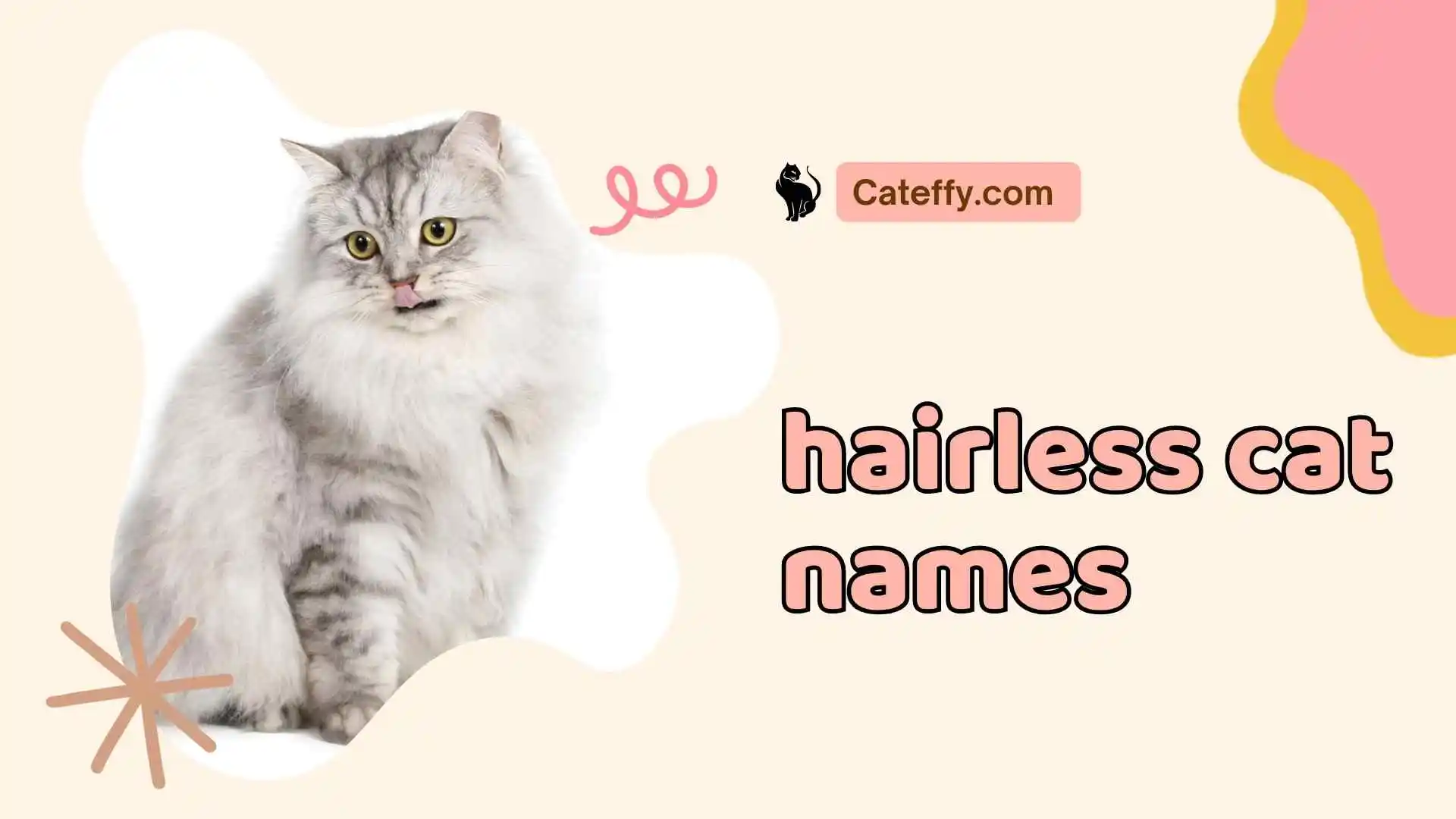 hairless cat names