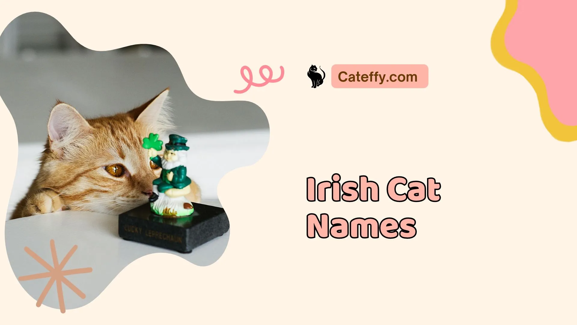 irish cat names