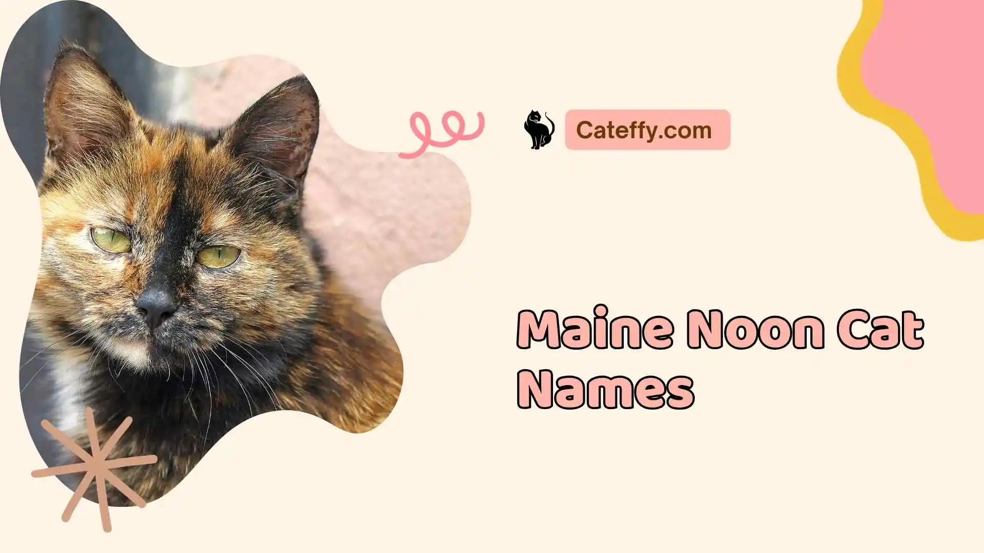 maine coon cat names