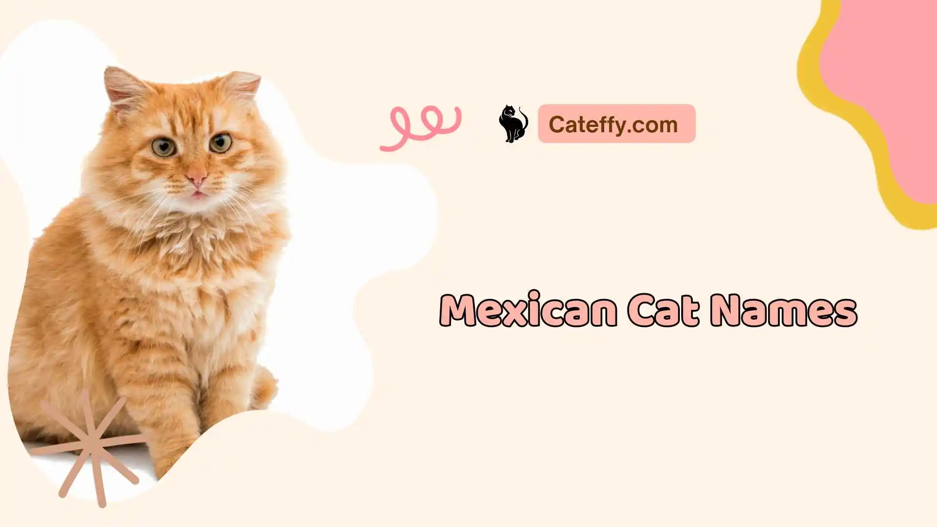 mexican cat names