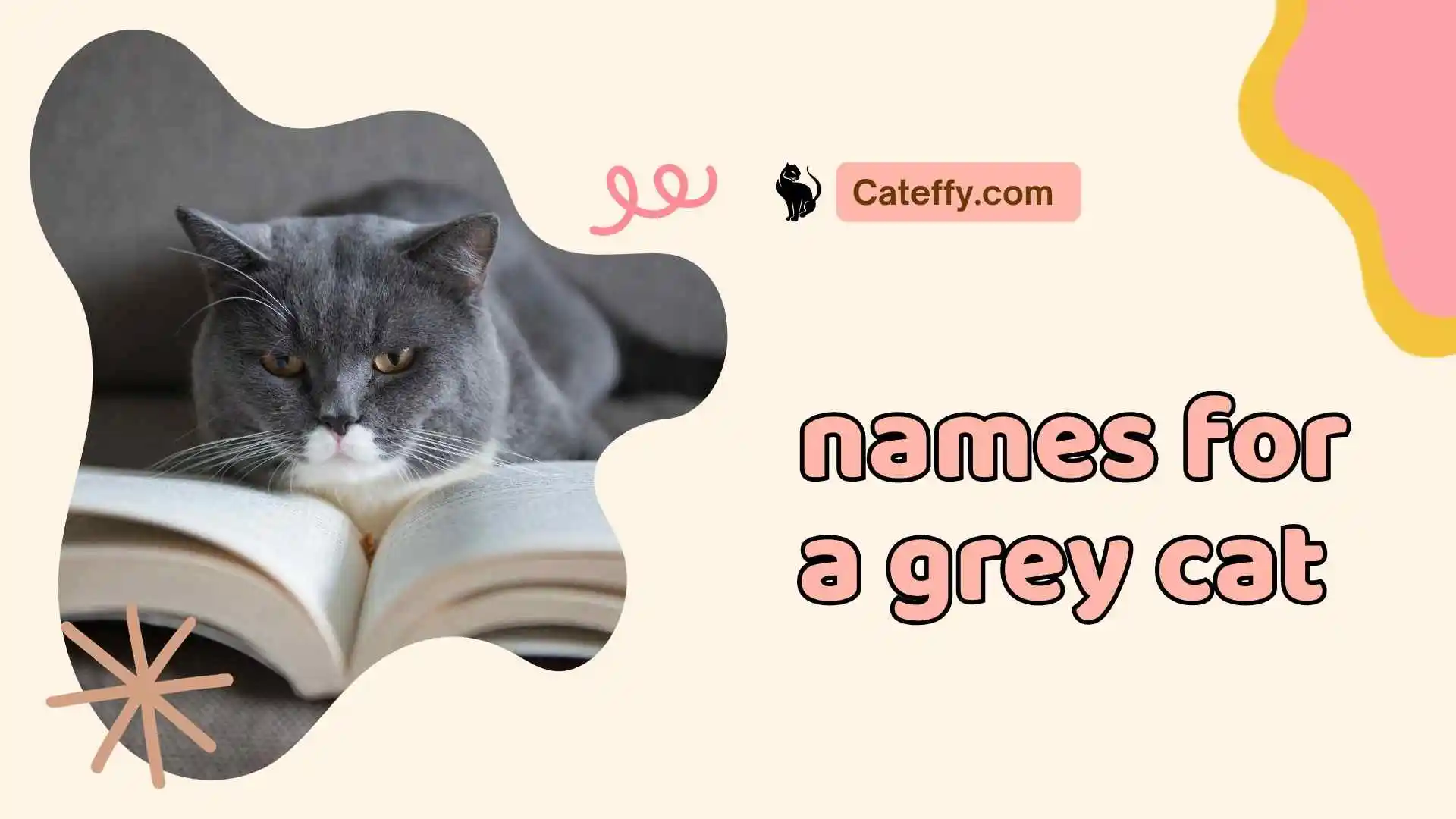 names for a grey cat
