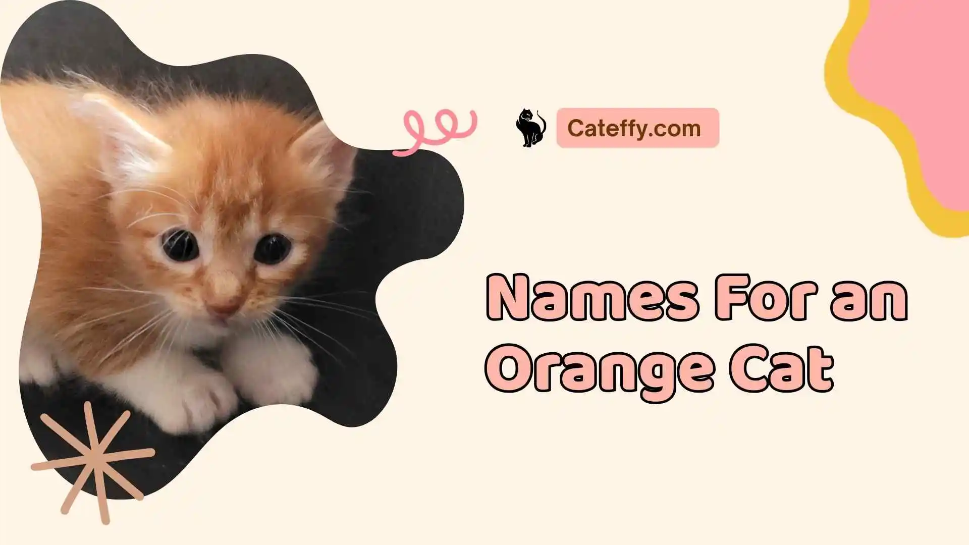 names for an orange cat