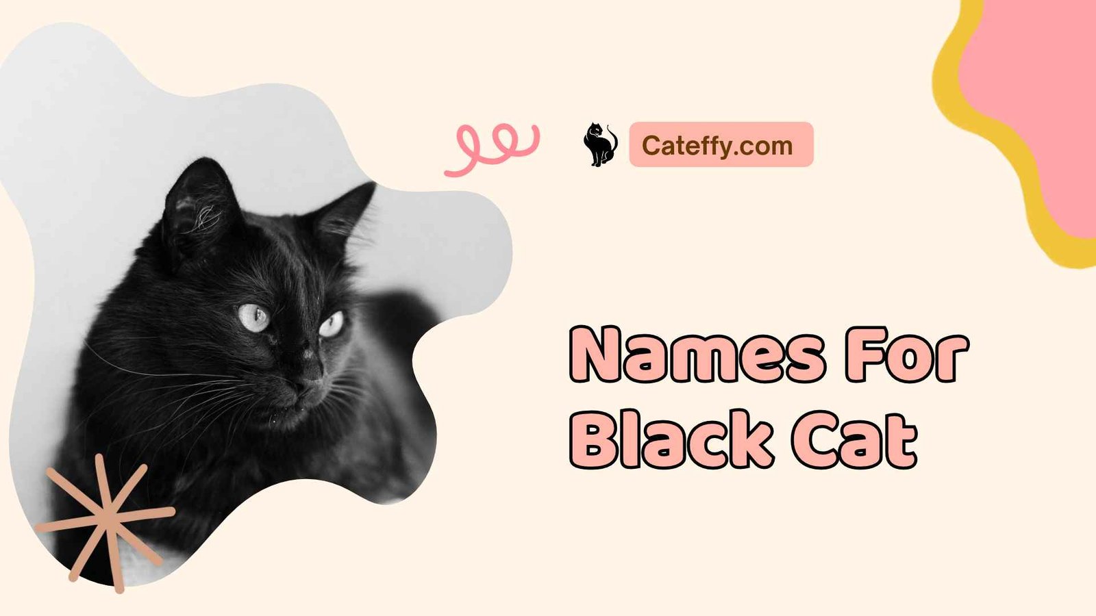 names for black cat