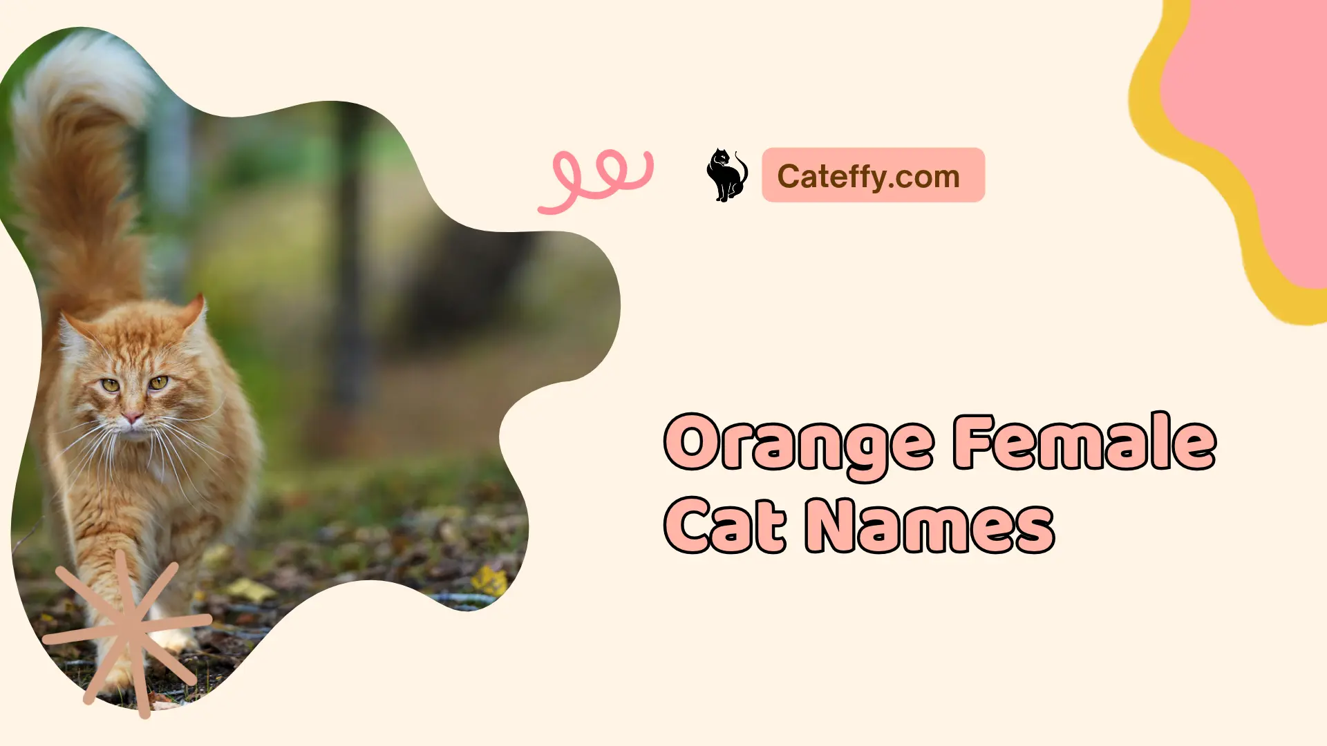 orange female cat names