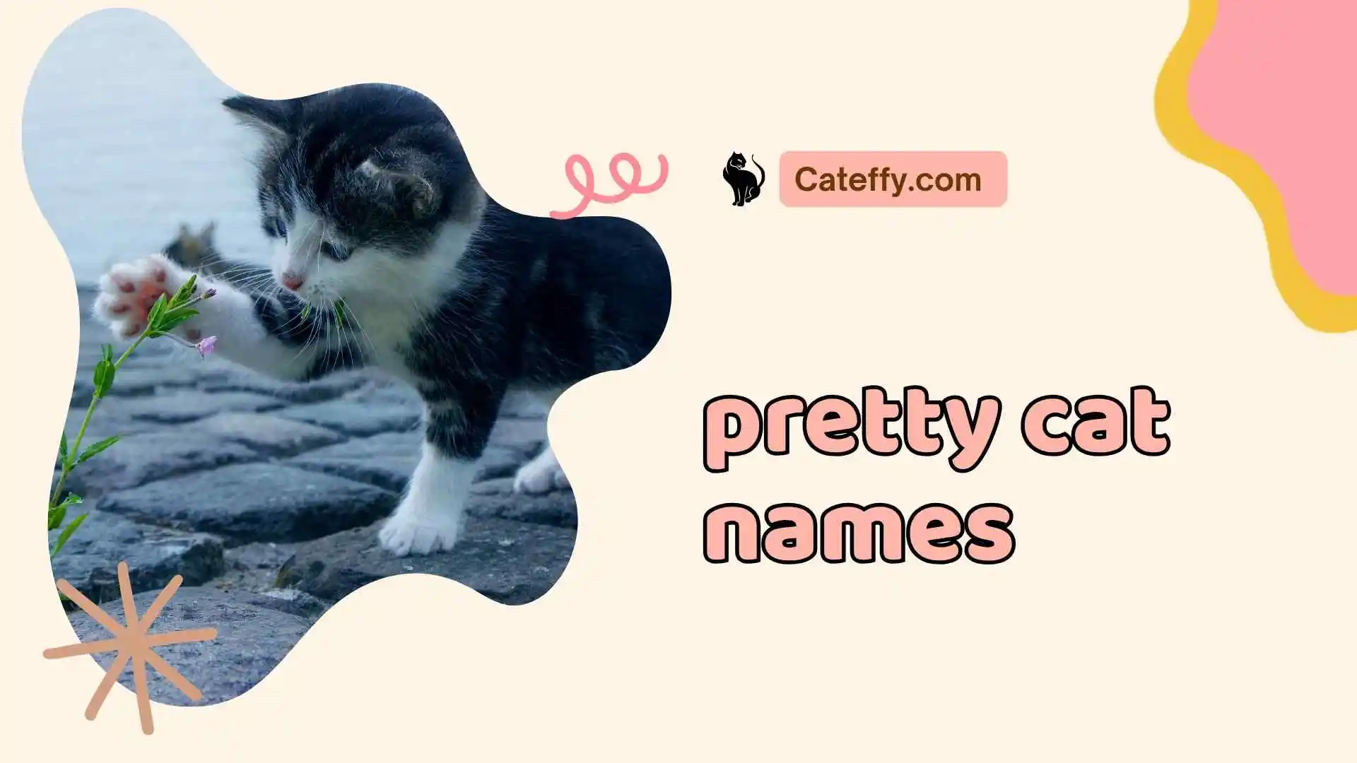 pretty cat names