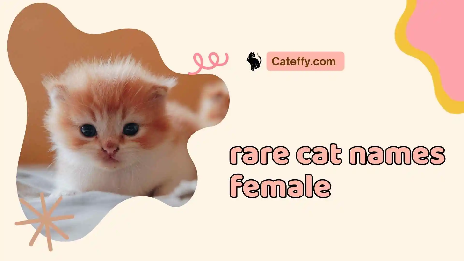 rare cat names female