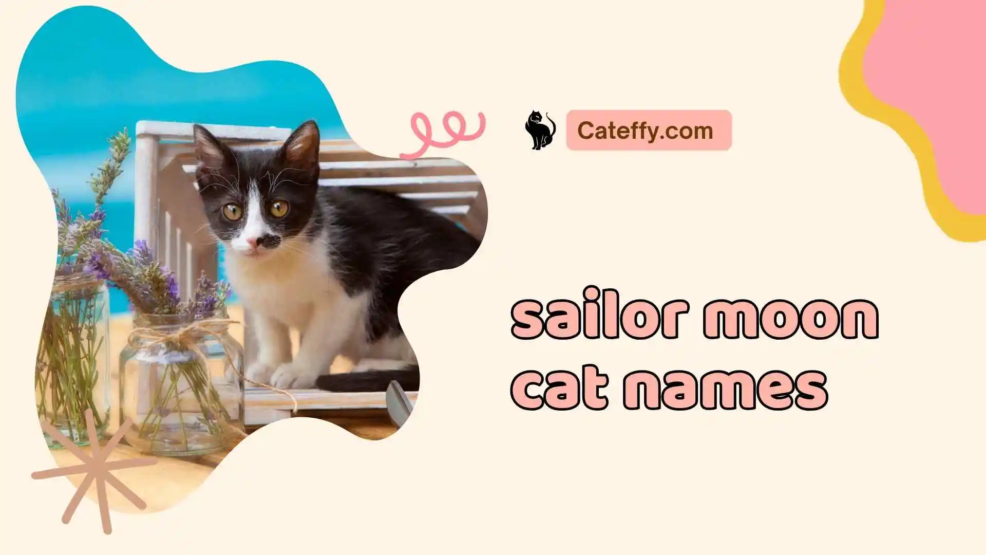 sailor moon cat names