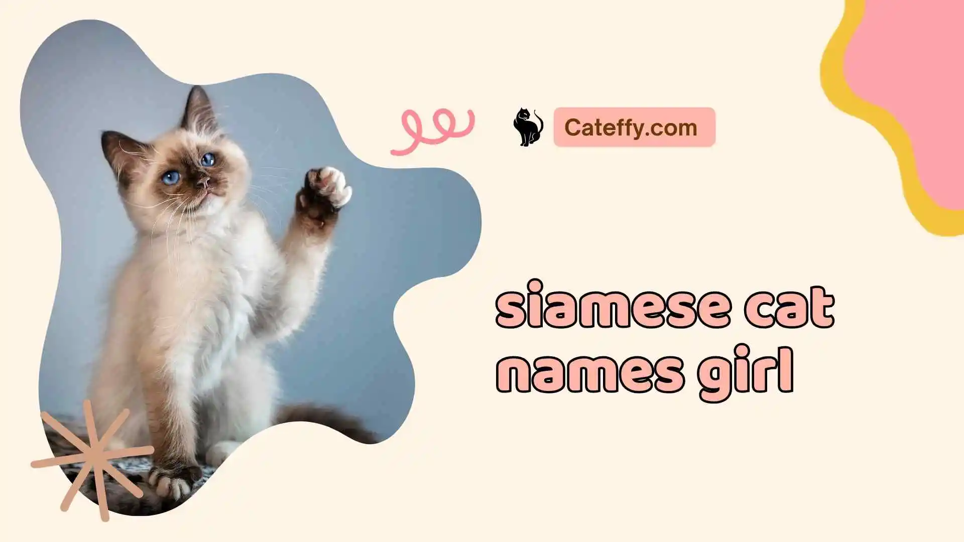 siamese cat names girl