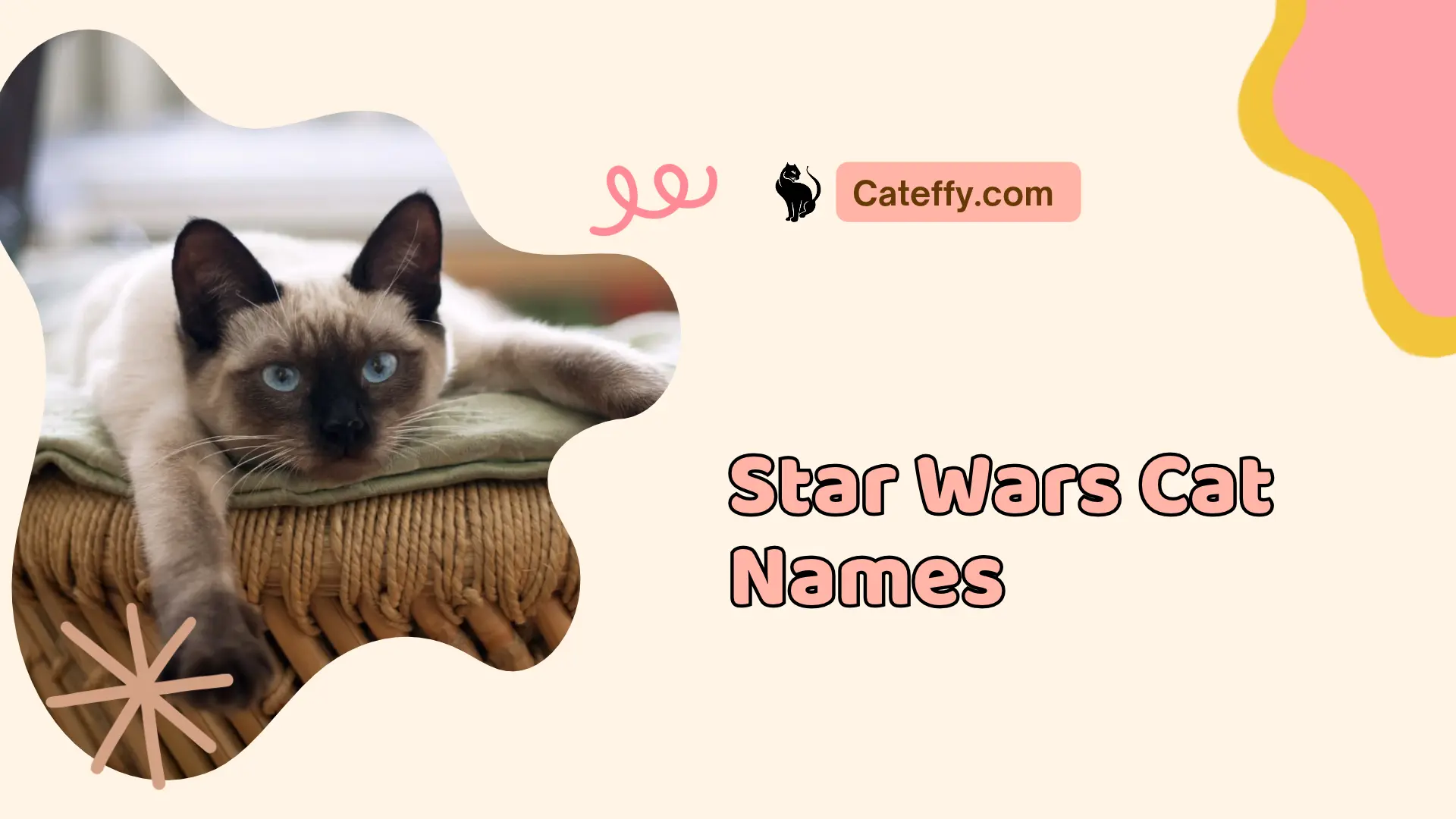 star wars cat names