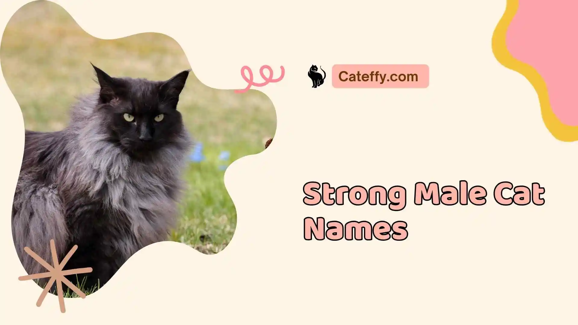 strong male cat names