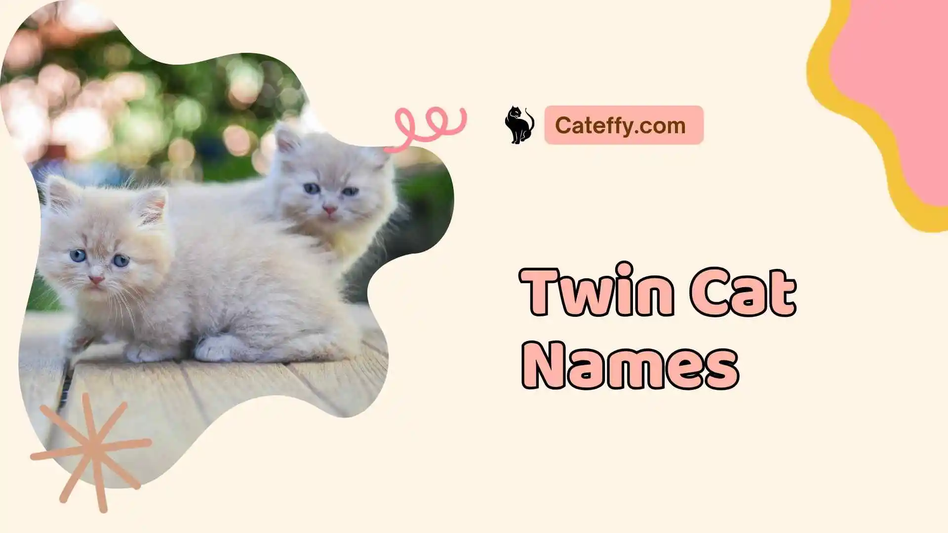 twin cat names