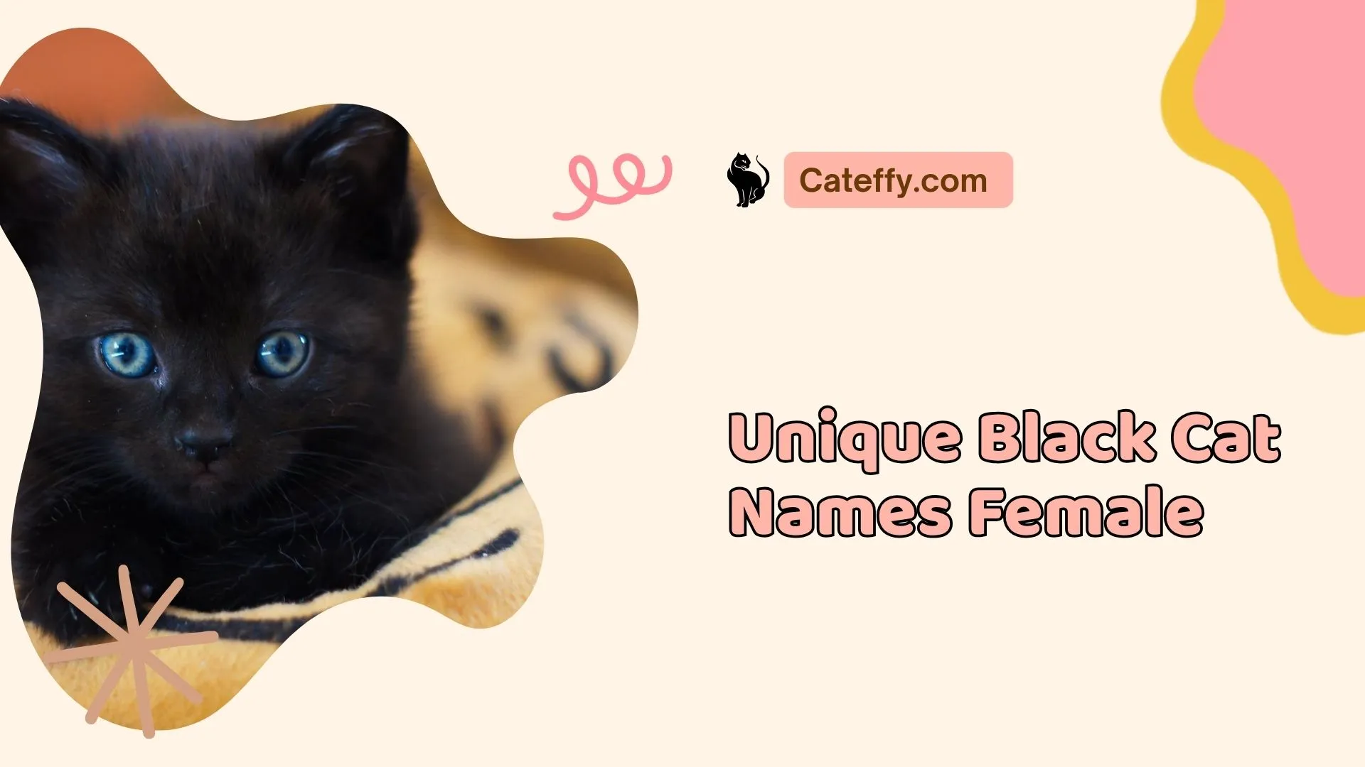 unique black cat names female