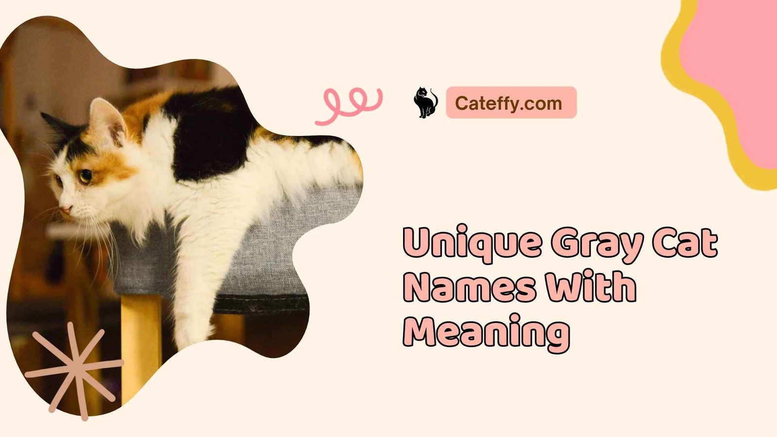 unique gray cat names with meaning